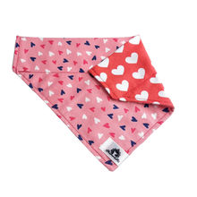 Charger l'image dans la galerie, Foulard 2 en 1 pour chien moyen - StV028