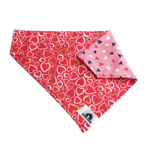 Charger l'image dans la galerie, Foulard 2 en 1 pour chien moyen - StV025
