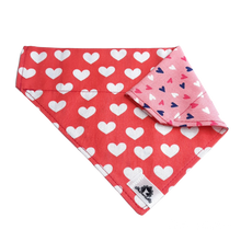 Charger l'image dans la galerie, Foulard 2 en 1 pour chien moyen - StV027