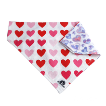 Charger l'image dans la galerie, Foulard 2 en 1 pour chien moyen - StV041