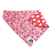 Charger l'image dans la galerie, Foulard 2 en 1 pour grand chien - StV028