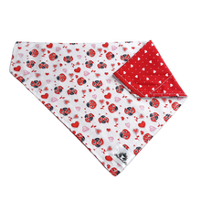 Charger l'image dans la galerie, Foulard 2 en 1 pour grand chien - StV009