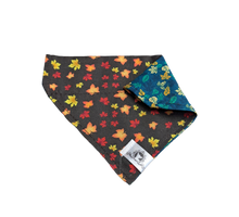 Charger l'image dans la galerie, Foulard 2 en 1 pour chat et petit chien - Automne A001