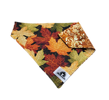 Charger l'image dans la galerie, Foulard 2 en 1 pour grand chien - Automne A003