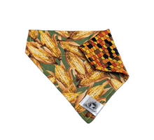 Charger l'image dans la galerie, Foulard 2 en 1 pour chat et petit chien - Automne A008