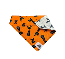 Charger l'image dans la galerie, Foulard 2 en 1 pour chien moyen - Chats noirs Halloween