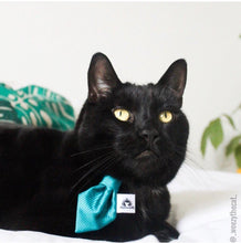 Charger l'image dans la galerie, Cravate 2 en 1 - 4 po - StV008