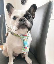 Charger l'image dans la galerie, Cravate 2 en 1 - 6 po - G009