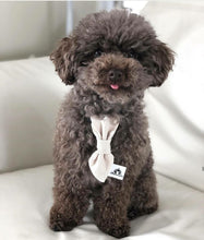 Charger l'image dans la galerie, Cravate 2 en 1 - 4 po - G009