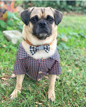 Charger l'image dans la galerie, Nœud papillon no8