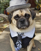 Charger l'image dans la galerie, Cravate 2 en 1 - 6 po - StV007