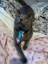 Charger l'image dans la galerie, Cravate 2 en 1 - 4 po - G013