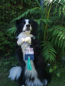 Porte-sac à déchets pour chien – Poop sac – Fleuri turquoise