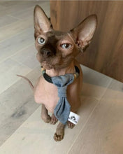 Charger l'image dans la galerie, Cravate 2 en 1 - 4 po - StV014