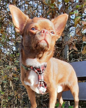 Charger l'image dans la galerie, Cravate 2 en 1 - 4 po - StV008