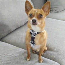 Charger l'image dans la galerie, Cravate 2 en 1 - 4 po - StV012