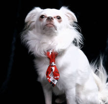 Charger l'image dans la galerie, Cravate 2 en 1 - 4 po - StV015