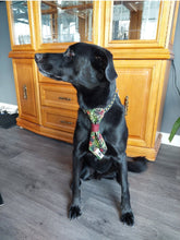 Charger l'image dans la galerie, Cravate 2 en 1 - 8 po - StV009