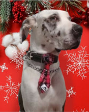 Charger l'image dans la galerie, Cravate 2 en 1 - 8 po - StV009