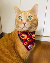 Charger l'image dans la galerie, Foulard 2 en 1 pour chat et petit chien - StV023