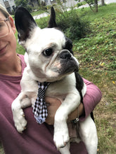 Charger l'image dans la galerie, Cravate 2 en 1 - 6 po - StV007