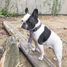 Charger l'image dans la galerie, Cravate chic - 6 po - Classique de Noël brillant