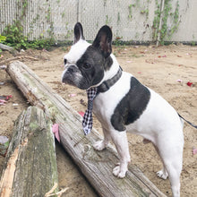 Charger l'image dans la galerie, Cravate 2 en 1 - 6 po - StV012