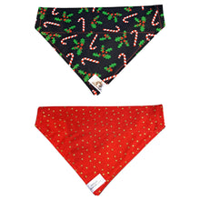 Charger l&#39;image dans la galerie, Foulard 2 en 1 pour chien moyen pour Noël - NM006
