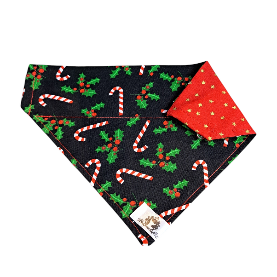 Foulard 2 en 1 pour chien moyen pour Noël - NM006