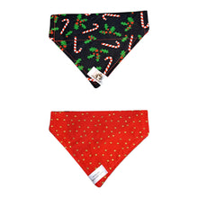 Charger l&#39;image dans la galerie, Foulard 2 en 1 pour chat et petit chien pour Noël - NP005
