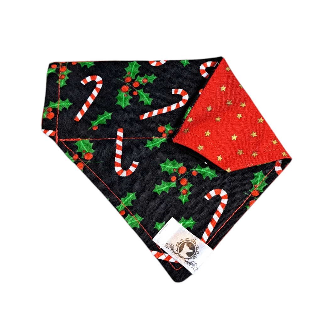Foulard 2 en 1 pour chat et petit chien pour Noël - NP005