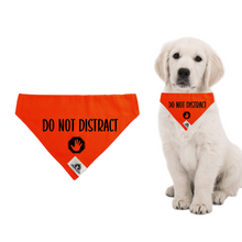 Charger l&#39;image dans la galerie, Set of leash sleeve and bandana - DO NOT DISTRACT
