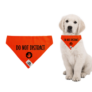 Set of leash sleeve and bandana - DO NOT DISTRACT