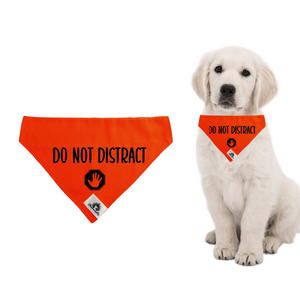 Reactive dog bandana - DO NOT DISTRACT