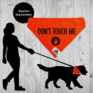 Set of leash sleeve and bandana - DON'T TOUCH ME