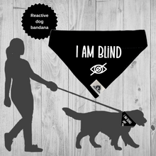 Charger l&#39;image dans la galerie, Set of leash sleeve and bandana - I AM BLIND
