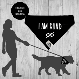 Set of leash sleeve and bandana - I AM BLIND