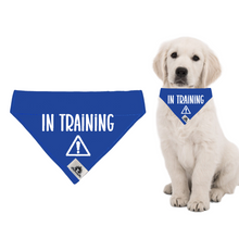 Charger l&#39;image dans la galerie, Set of leash sleeve and bandana - IN TRAINING
