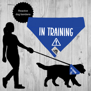 Set of leash sleeve and bandana - IN TRAINING