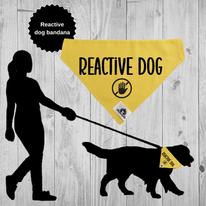 Set of leash sleeve and bandana - REACTIVE DOG