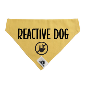 REACTIVE DOG bandana