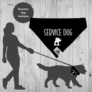 Set of leash sleeve and bandana - SERVICE DOG