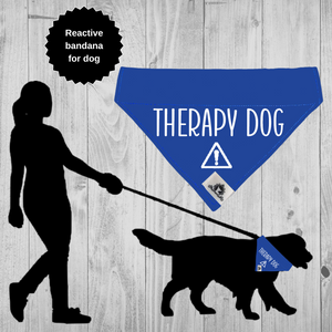 Set of leash sleeve and bandana - THERAPY DOG