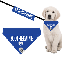 Charger l'image dans la galerie, Kit manchon de laisse et foulard pour chien ZOOTHÉRAPIE
