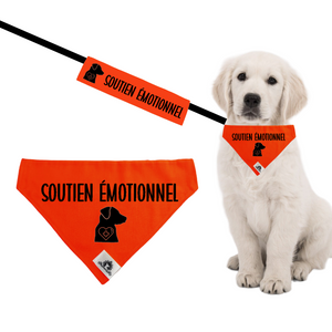 Kit manchon de laisse et foulard pour chien d'assistance SOUTIEN ÉMOTIONNEL