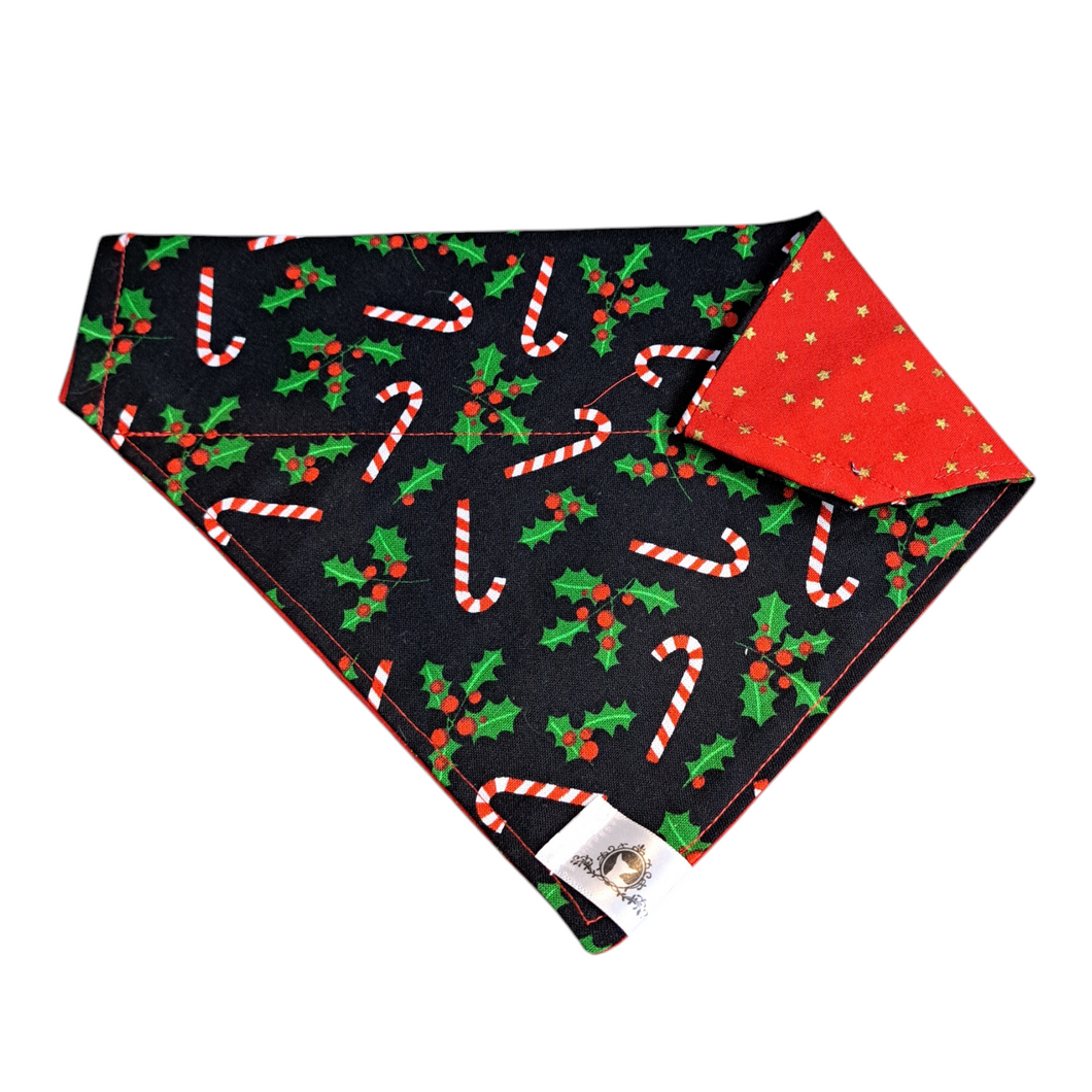 Foulard 2 en 1 de Noël pour grand chien - NG004