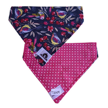 Charger l&#39;image dans la galerie, Foulard réversible 2 en 1 pour chat et petit chien - PR008
