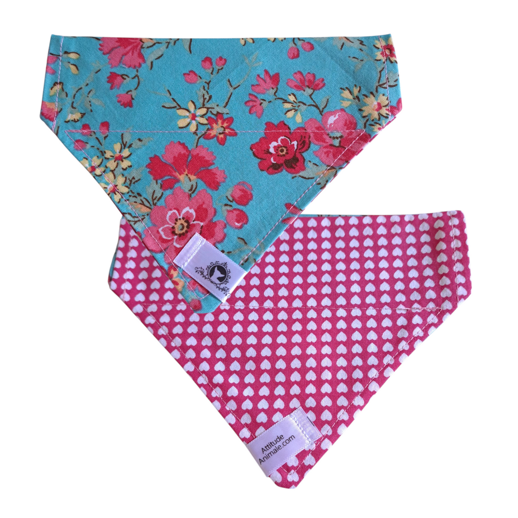 Foulard réversible 2 en 1 pour chat et petit chien - PR014