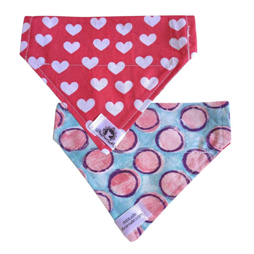 Foulard réversible 2 en 1 pour chat et petit chien - PR029