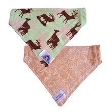 Charger l&#39;image dans la galerie, Foulard réversible 2 en 1 pour chat et petit chien - PR035
